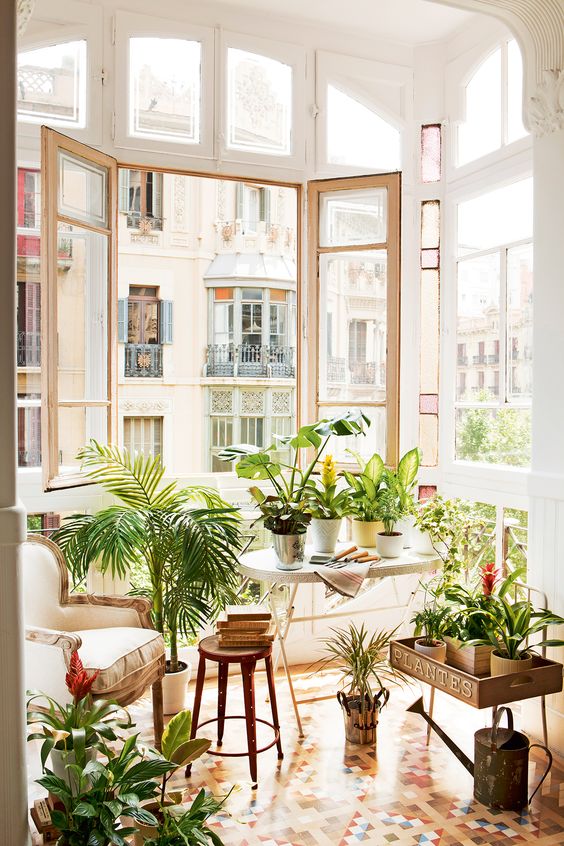 Razones para decorar con plantas