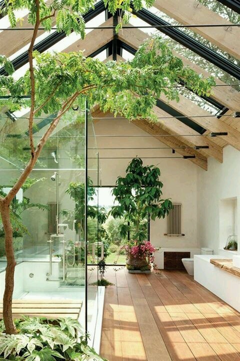 plantas_de_interior_3